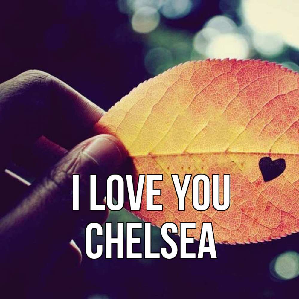 Greetings card с именем, Chelsea I love you держу лист Greetings with text for free download 