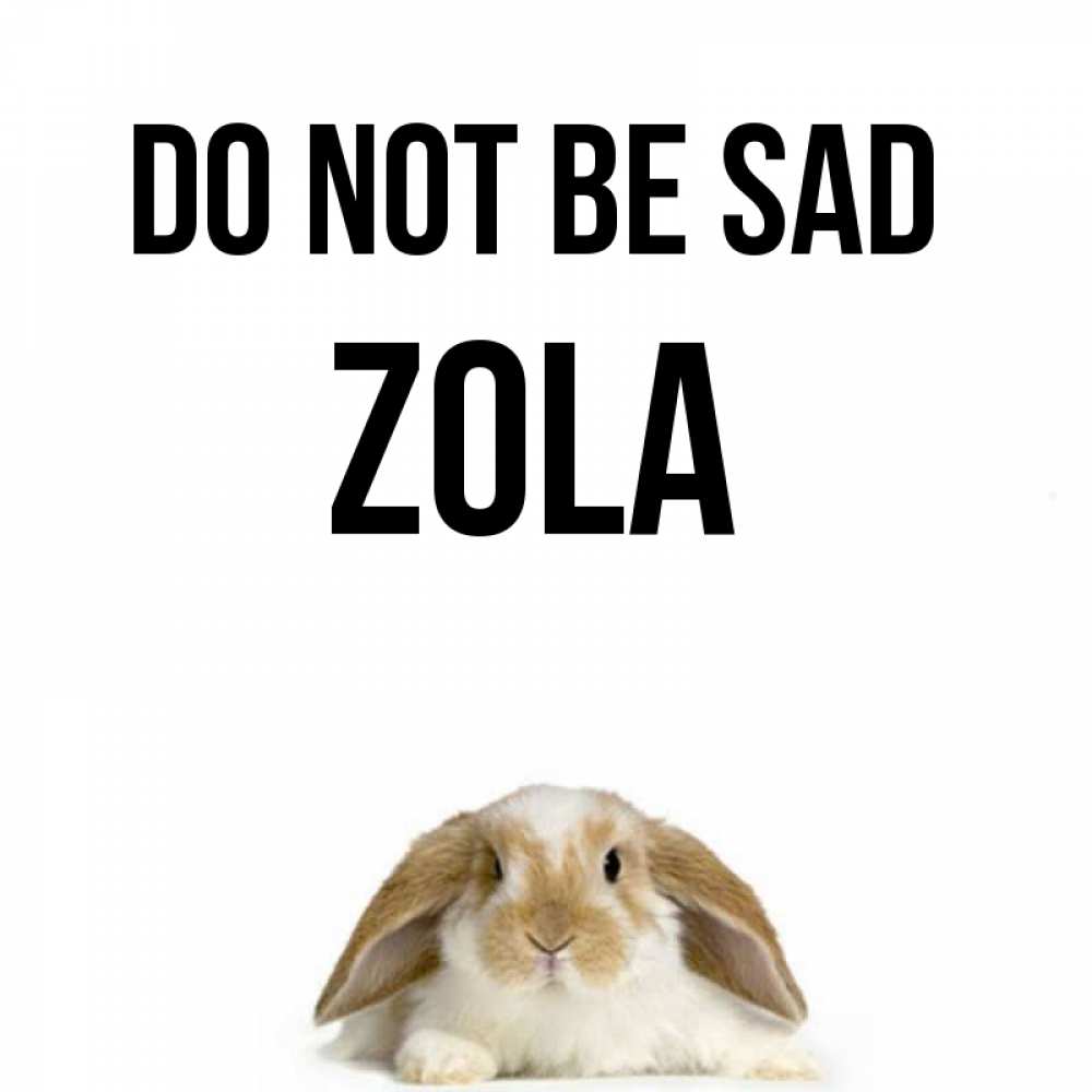 Greetings card с именем, Zola Do not be sad коричнево белый заяц с большими ушками Greetings with text for free download 