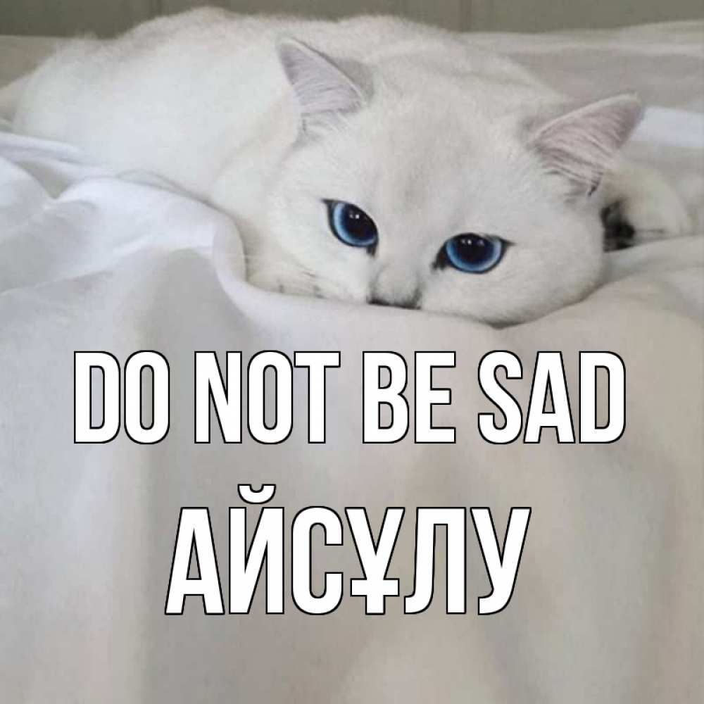 Greetings card с именем, АЙСҰЛУ Do not be sad белый кот с голубыми глазами на белоснежной кровати Greetings with text for free download 