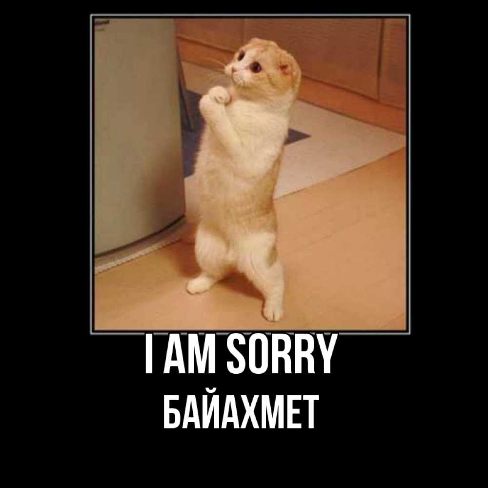 Greetings card с именем, Байахмет I am sorry открытка с милым несчастным котиком просящим прощения Greetings with text for free download 