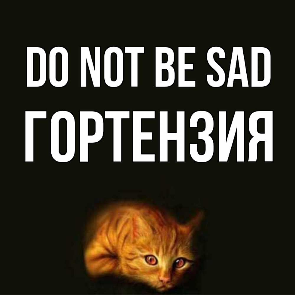 Greetings card с именем, Гортензия Do not be sad лежащий кот в темноте Greetings with text for free download 