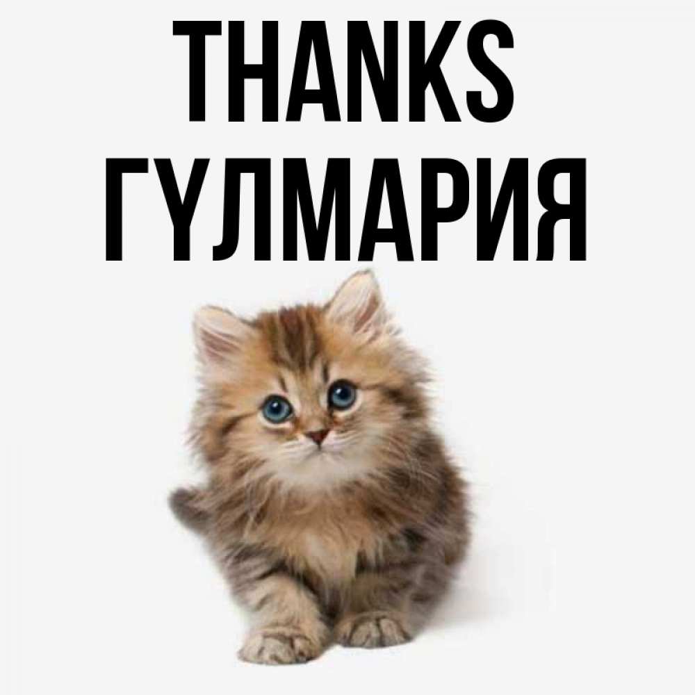 Greetings card с именем, ГҮЛМАРИЯ Thanks пушистый котик Greetings with text for free download 