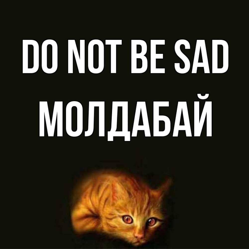 Greetings card с именем, МОЛДАБАЙ Do not be sad лежащий кот в темноте Greetings with text for free download 