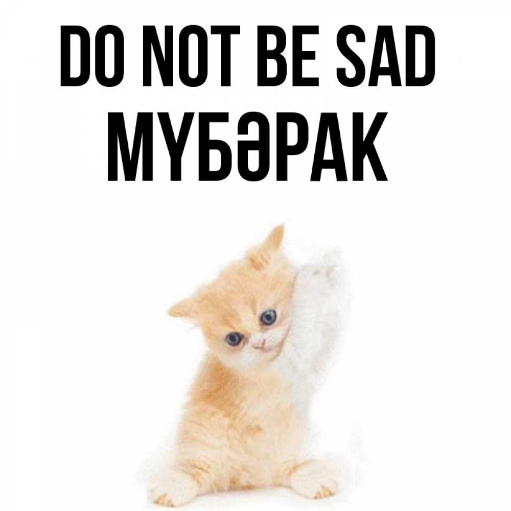 Greetings card с именем, МҮБӘРАК Do not be sad просящий кот Greetings with text for free download 