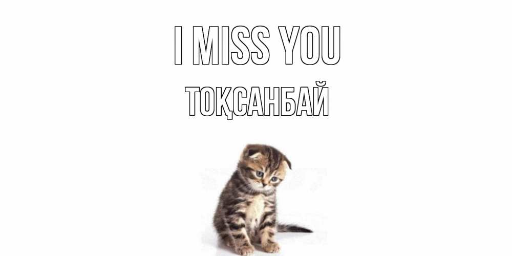 Greetings card с именем, ТОҚСАНБАЙ I miss you кот Greetings with text for free download 