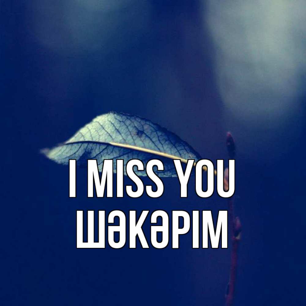 Greetings card с именем, ШӘКӘРІМ I miss you одна ветка 1 Greetings with text for free download 