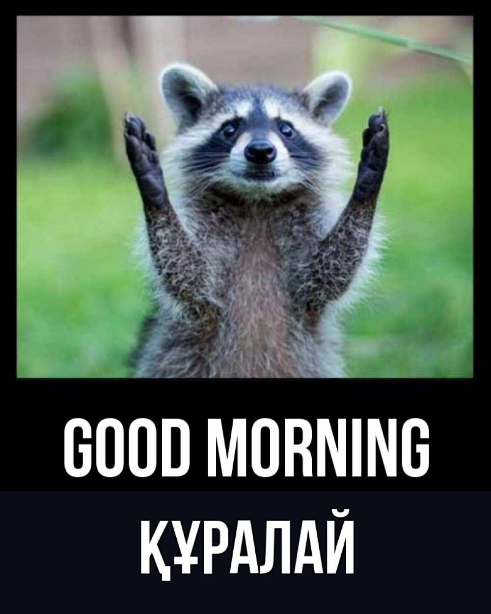 Greetings card с именем, ҚҰРАЛАЙ Good morning хорошее настроение утречком Greetings with text for free download 
