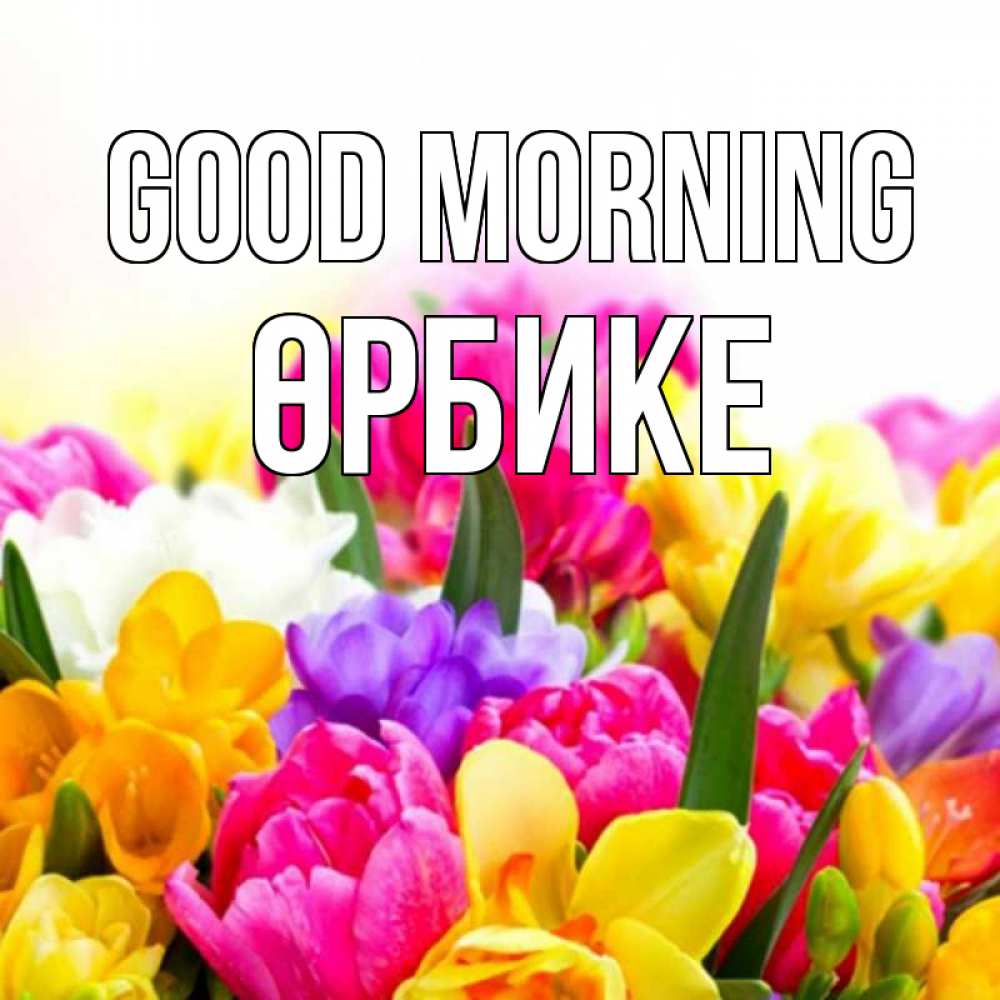 Greetings card с именем, ӨРБИКЕ Good morning создать открытку со свое подписью Greetings with text for free download 
