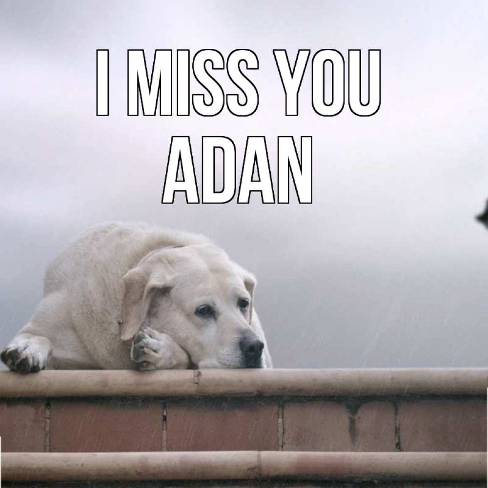Greetings card с именем, Adan I miss you ждет Greetings with text for free download 