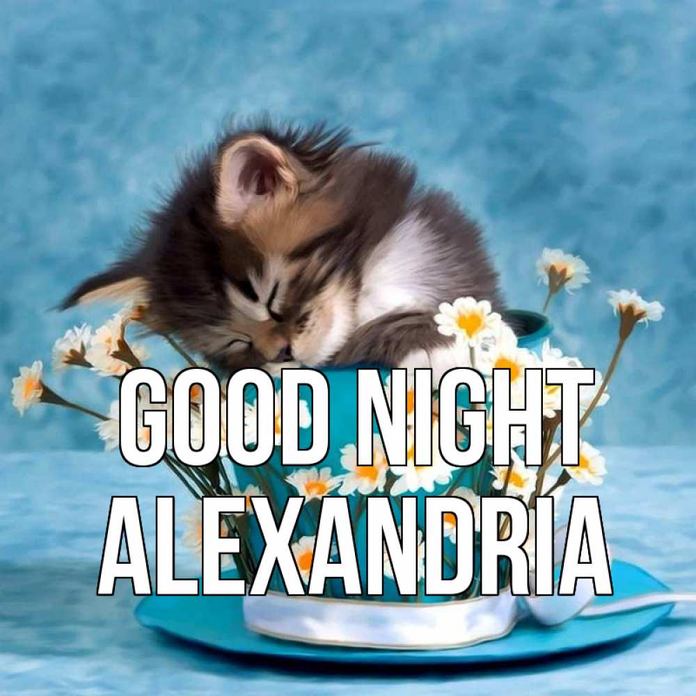Greetings card с именем, Alexandria Good night котенок спит в кружке с блюдцем Greetings with text for free download 