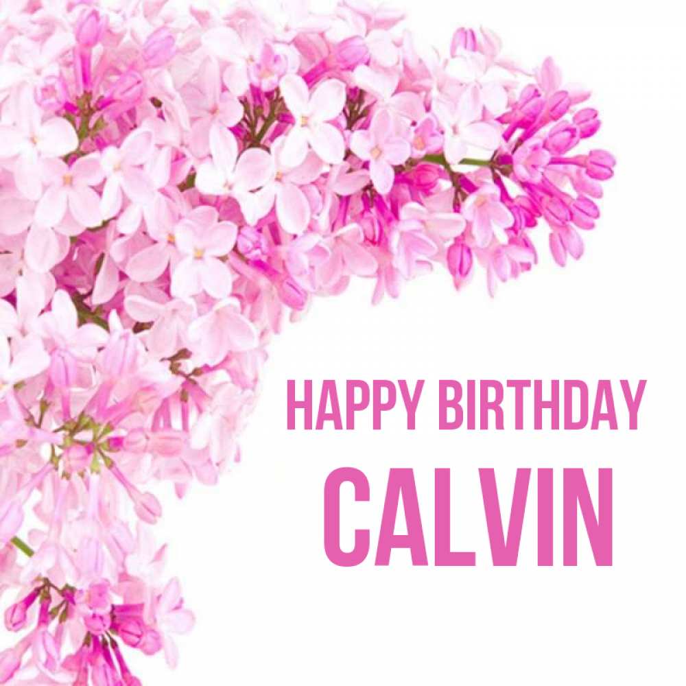 Greetings card с именем, Calvin Happy Birthday Сирень на белом фоне Greetings with text for free download 