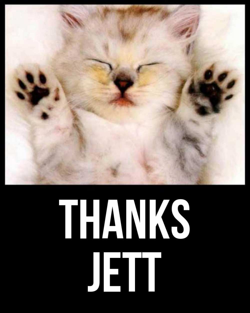Greetings card с именем, Jett Thanks маленький котенок Greetings with text for free download 