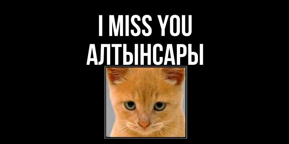 Greetings card с именем, Алтынсары I miss you открытки рыжий котенок скучает по тебе Greetings with text for free download 