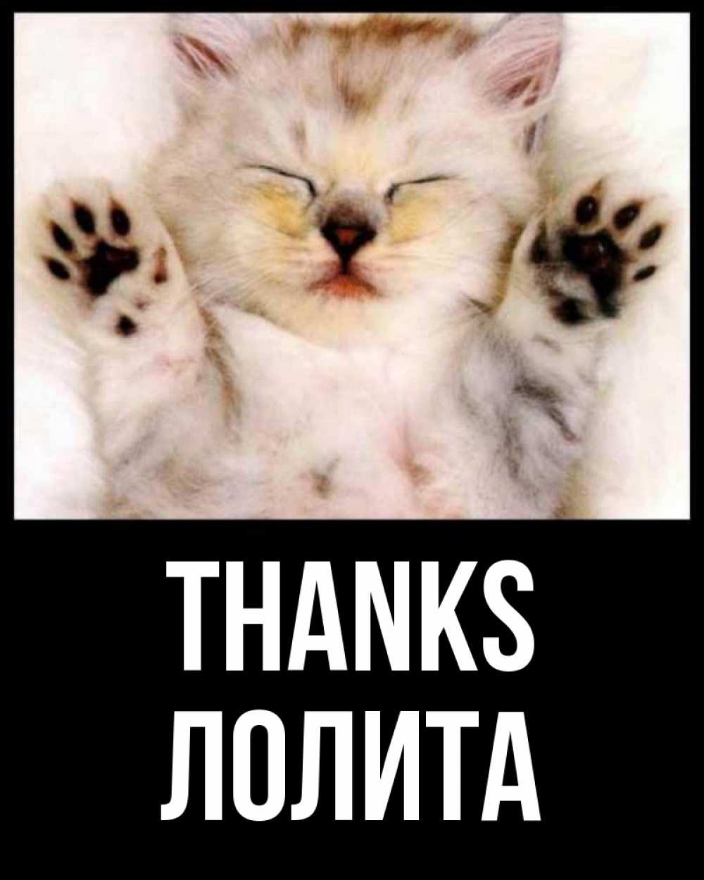 Greetings card с именем, Лолита Thanks маленький котенок Greetings with text for free download 