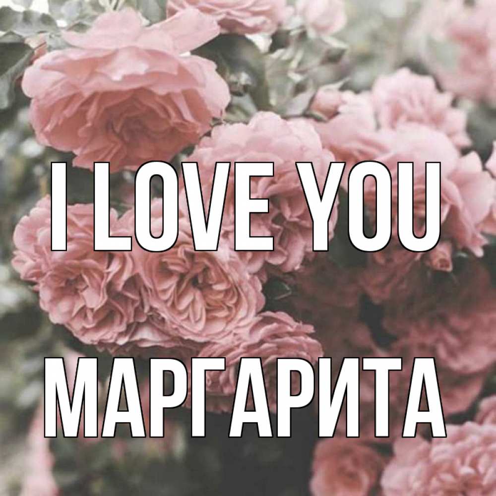 Greetings card с именем, Маргарита I love you розы 3 Greetings with text for free download 