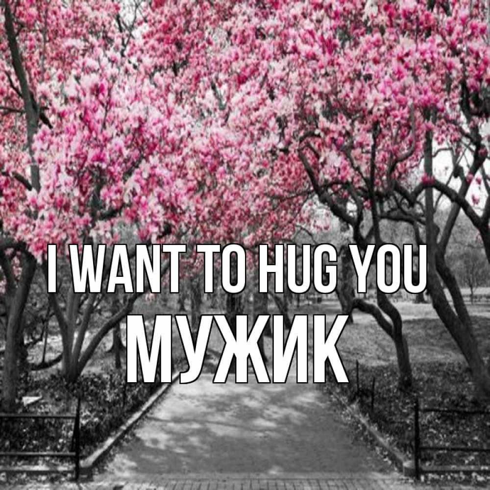 Greetings card с именем, Мужик I want to hug you обработанное фото Greetings with text for free download 