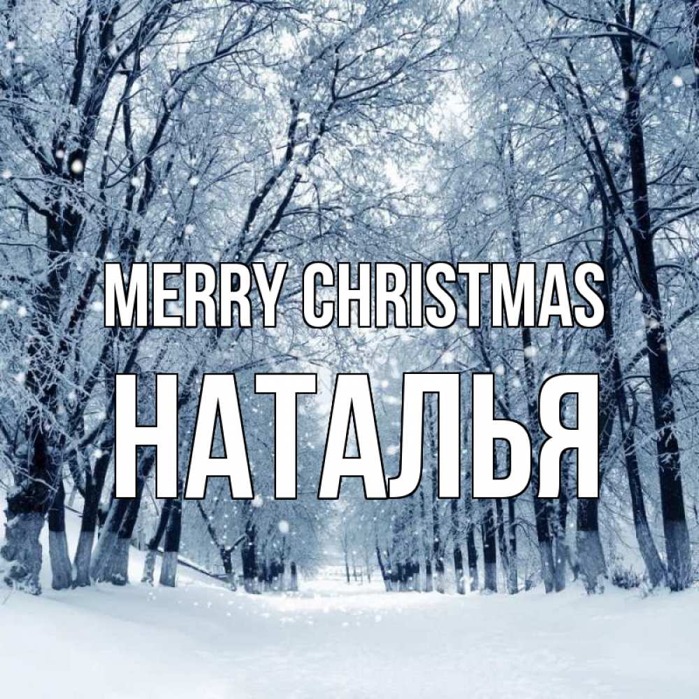 Greetings card с именем, Наталья Merry Christmas снег, лес, парк Greetings with text for free download 