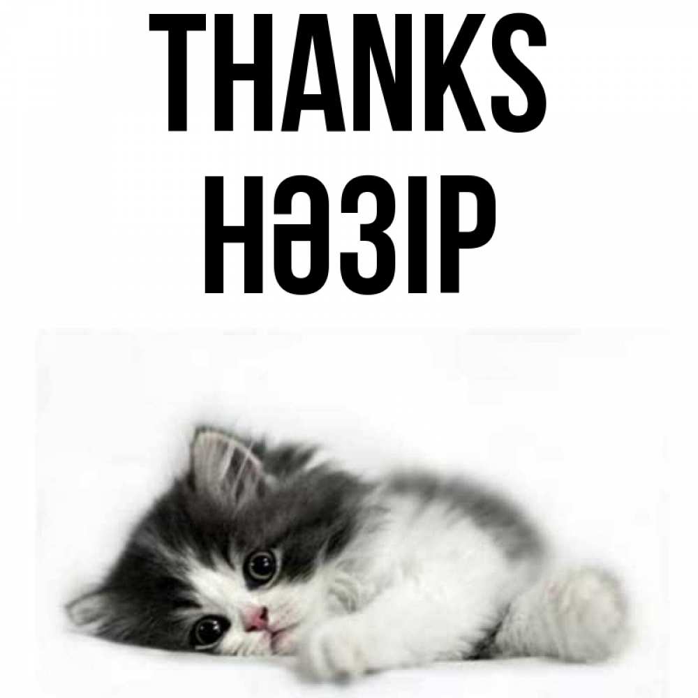 Greetings card с именем, НӘЗІР Thanks черный и белый кот Greetings with text for free download 
