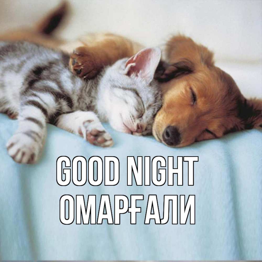 Greetings card с именем, ОМАРҒАЛИ Good night с животными Greetings with text for free download 