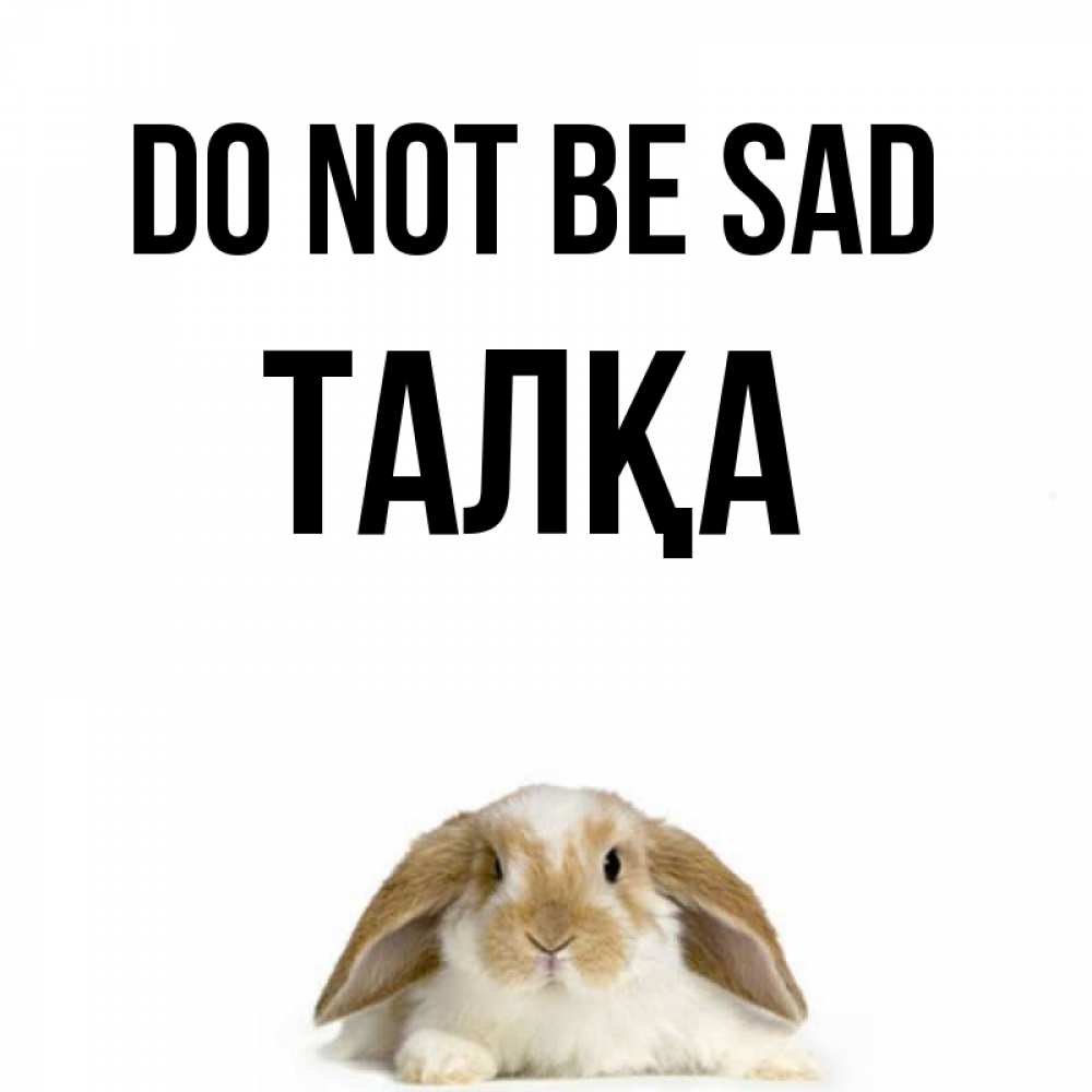 Greetings card с именем, ТАЛҚА Do not be sad коричнево белый заяц с большими ушками Greetings with text for free download 
