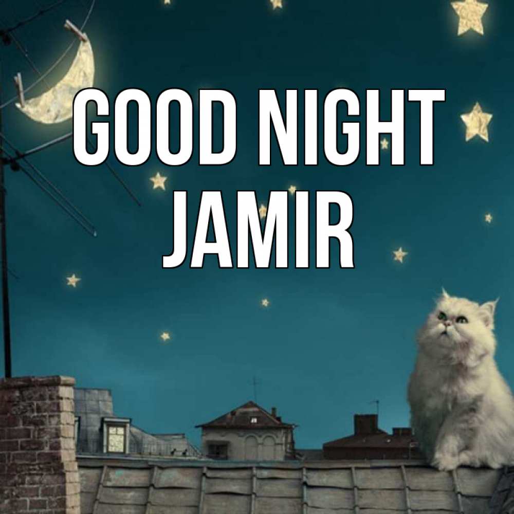 Greetings card с именем, Jamir Good night белый кот сидит на крыше Greetings with text for free download 