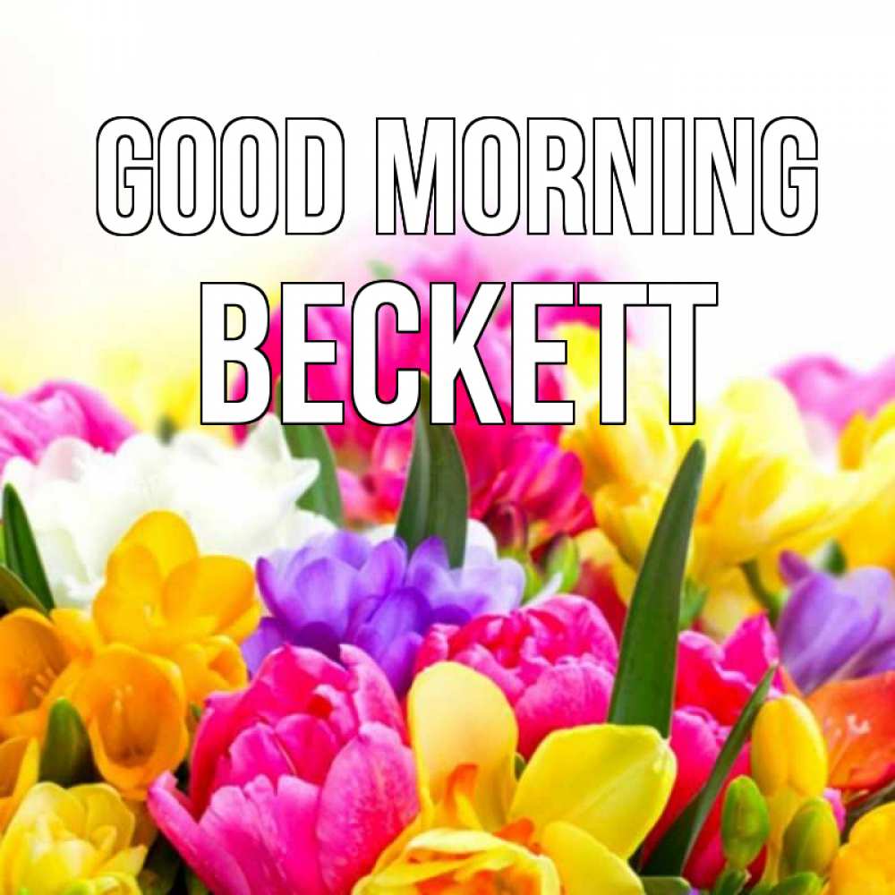 Greetings card с именем, Beckett Good morning создать открытку со свое подписью Greetings with text for free download 