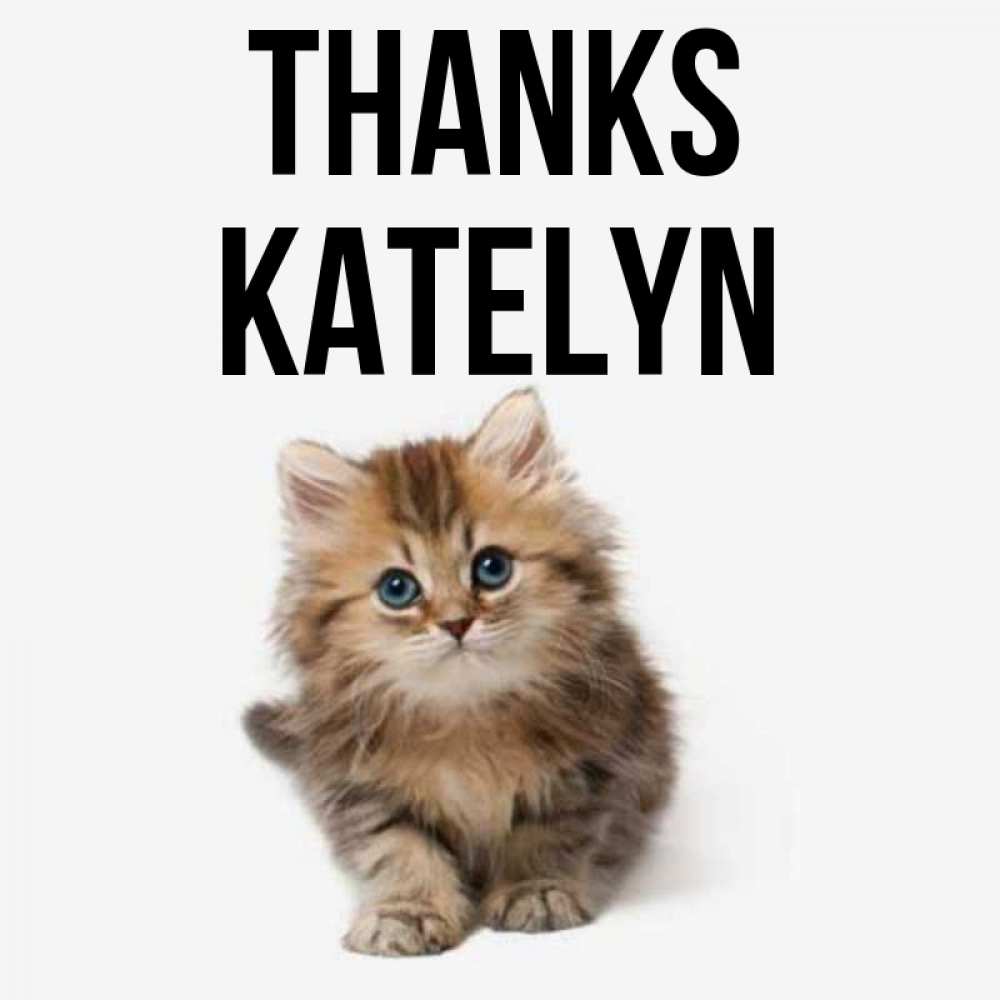Greetings card с именем, Katelyn Thanks пушистый котик Greetings with text for free download 