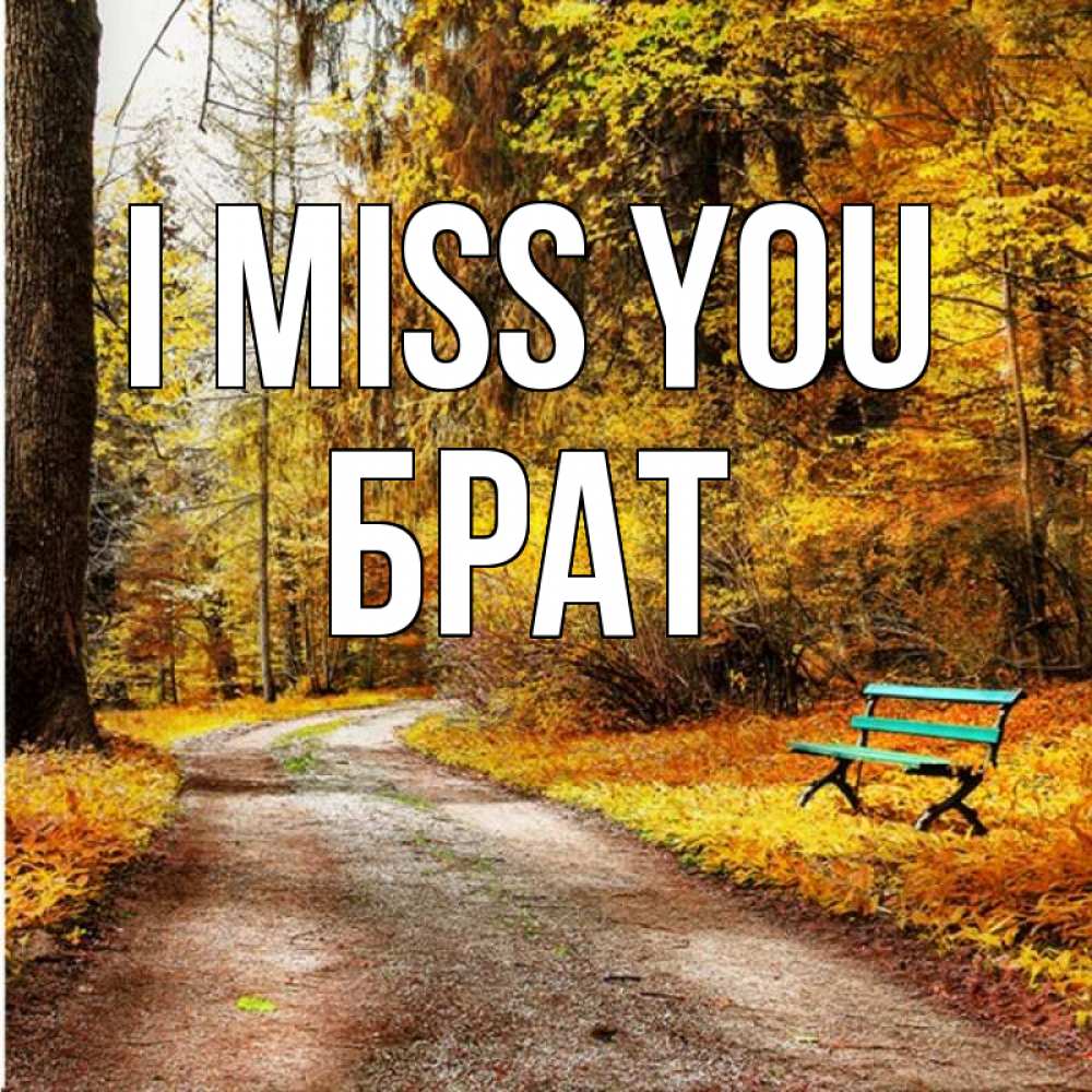 Greetings card с именем, Брат I miss you зеленая лавочка и осенний лес Greetings with text for free download 