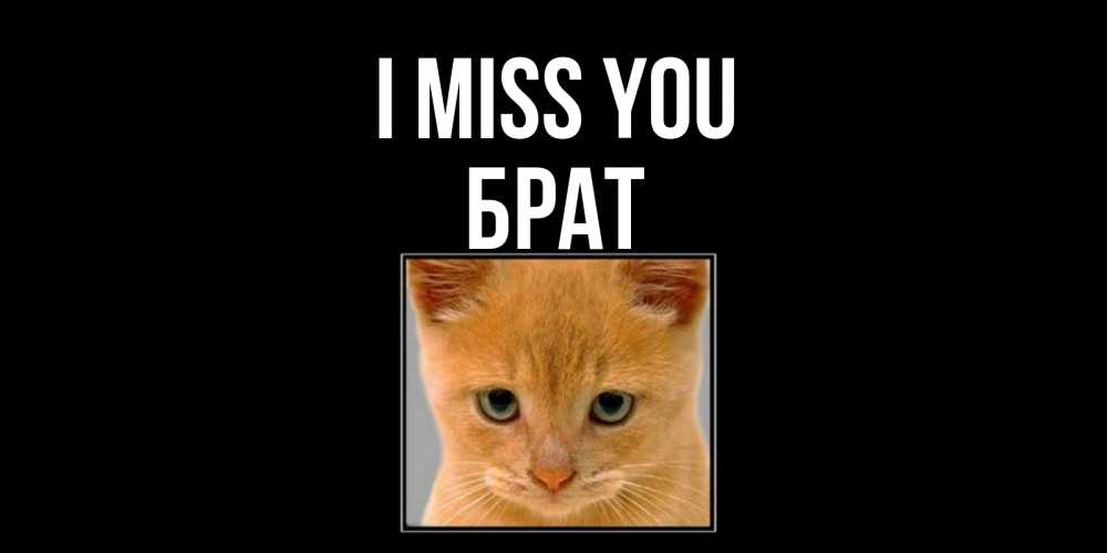 Greetings card с именем, Брат I miss you открытки рыжий котенок скучает по тебе Greetings with text for free download 