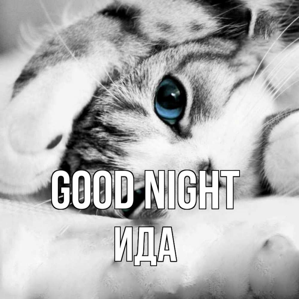 Greetings card с именем, Ида Good night кот устал Greetings with text for free download 