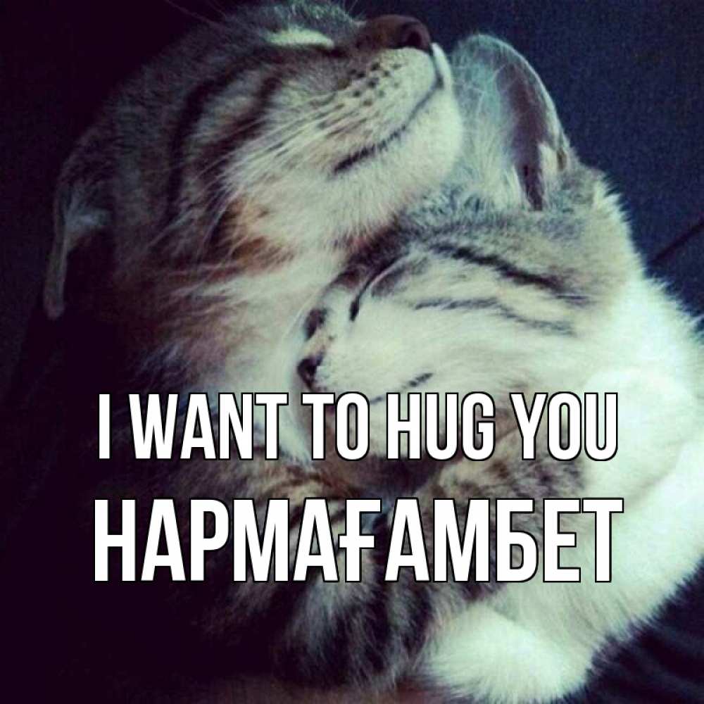 Greetings card с именем, НАРМАҒАМБЕТ I want to hug you полосатики Greetings with text for free download 
