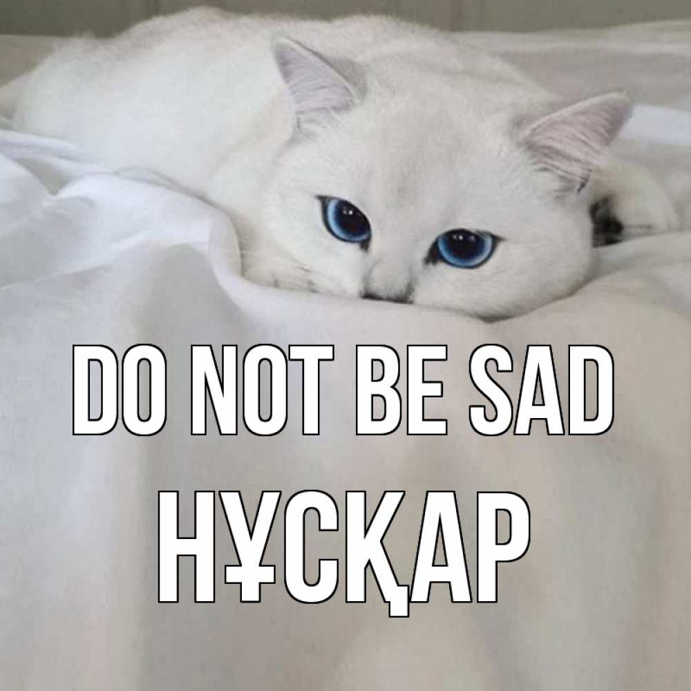Greetings card с именем, НҰСҚАР Do not be sad белый кот с голубыми глазами на белоснежной кровати Greetings with text for free download 