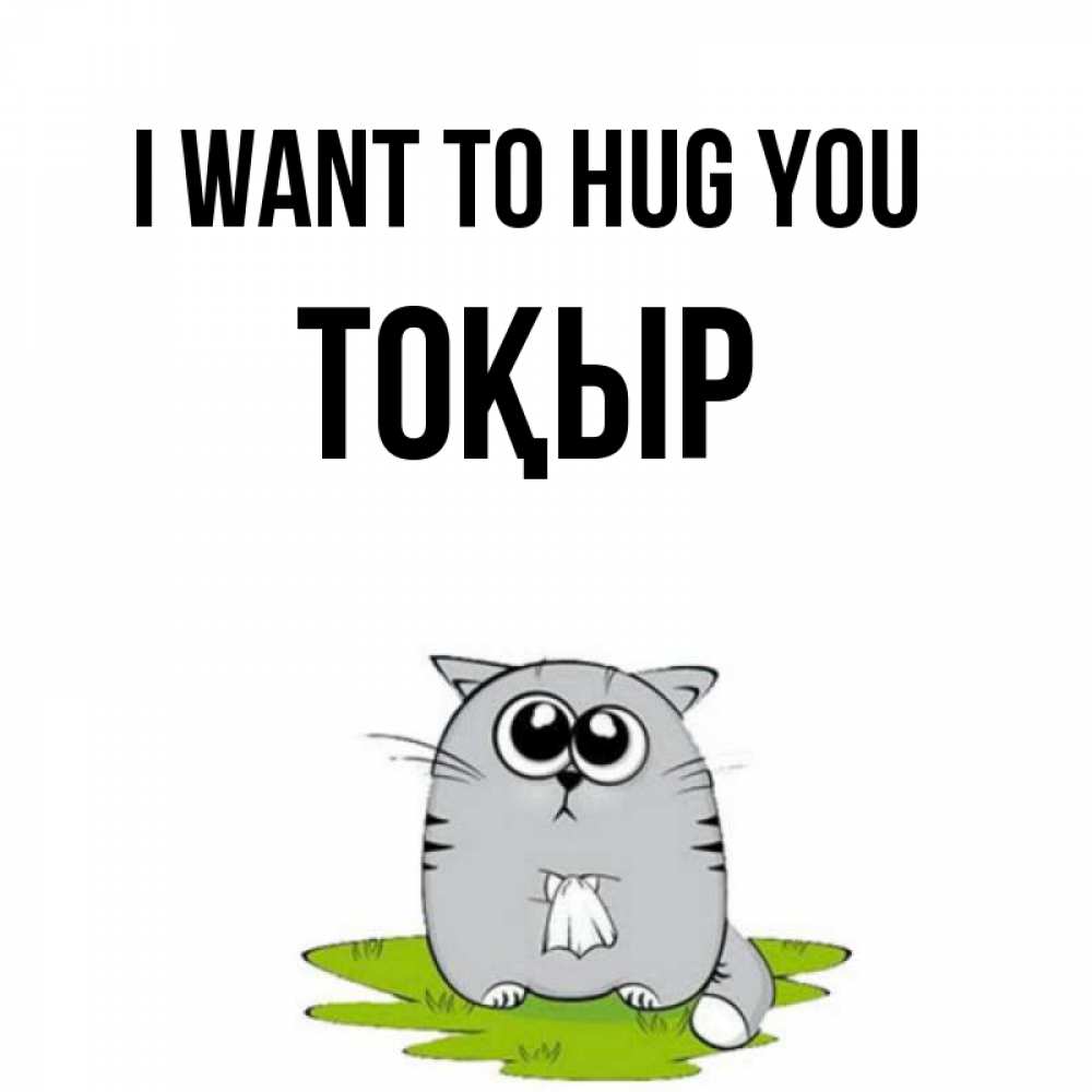 Greetings card с именем, ТОҚЫР I want to hug you котик теребит платочек сидя на травке Greetings with text for free download 