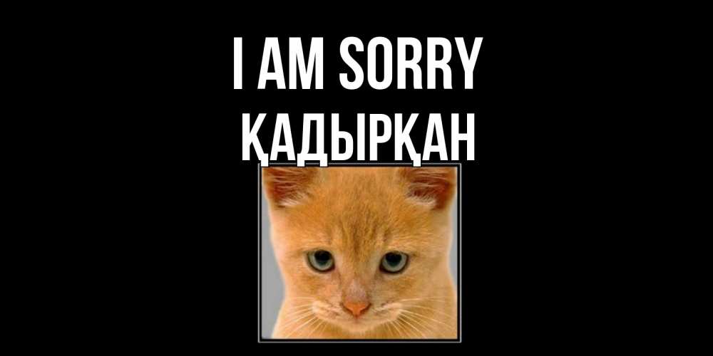Greetings card с именем, Қадырқан I am sorry рыжий грустный кот просит прощения Greetings with text for free download 