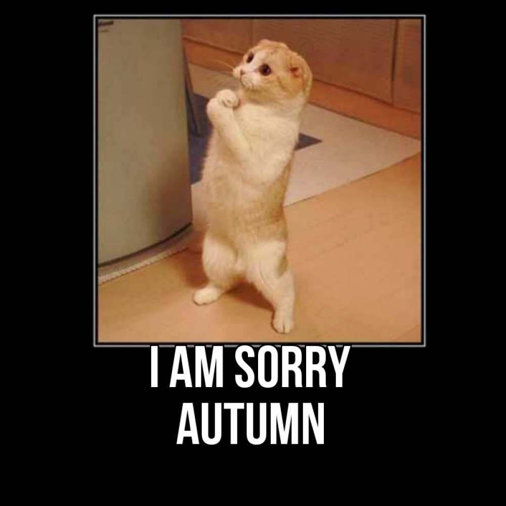 Greetings card с именем, Autumn I am sorry открытка с милым несчастным котиком просящим прощения Greetings with text for free download 