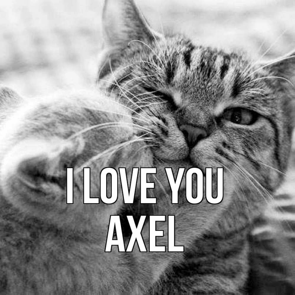 Greetings card с именем, Axel I love you коты Greetings with text for free download 