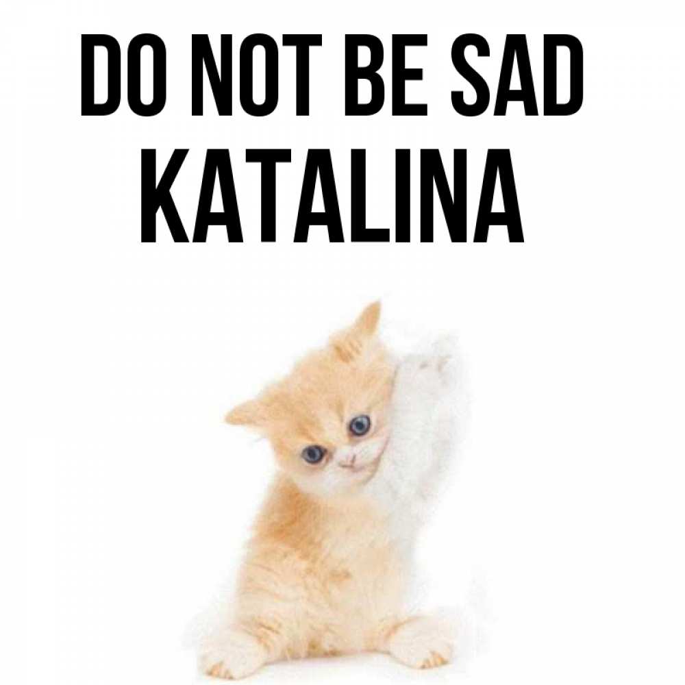 Greetings card с именем, Katalina Do not be sad просящий кот Greetings with text for free download 