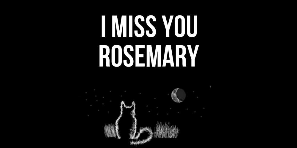 Greetings card с именем, Rosemary I miss you кот Greetings with text for free download 