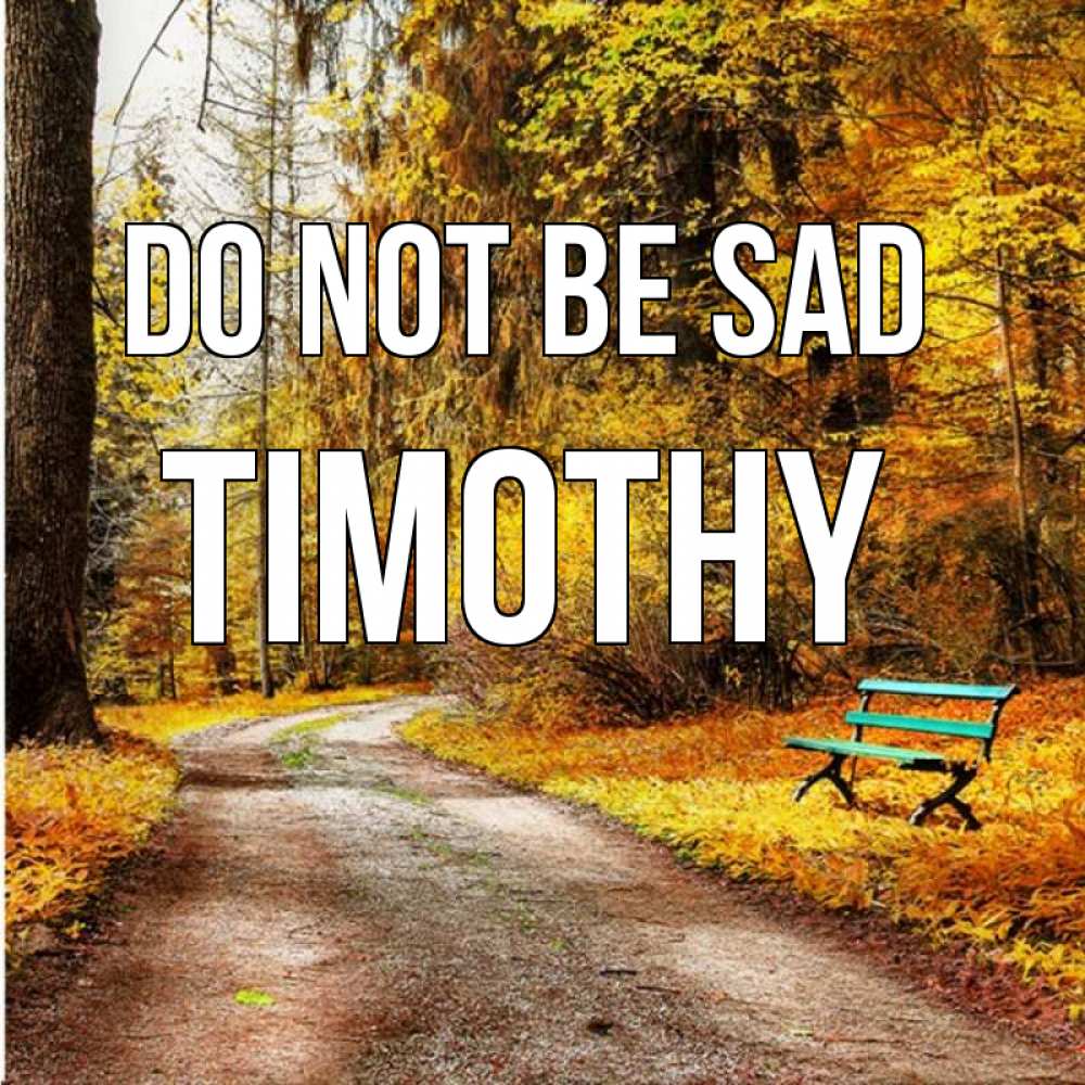 Greetings card с именем, Timothy Do not be sad зеленая лавочка Greetings with text for free download 