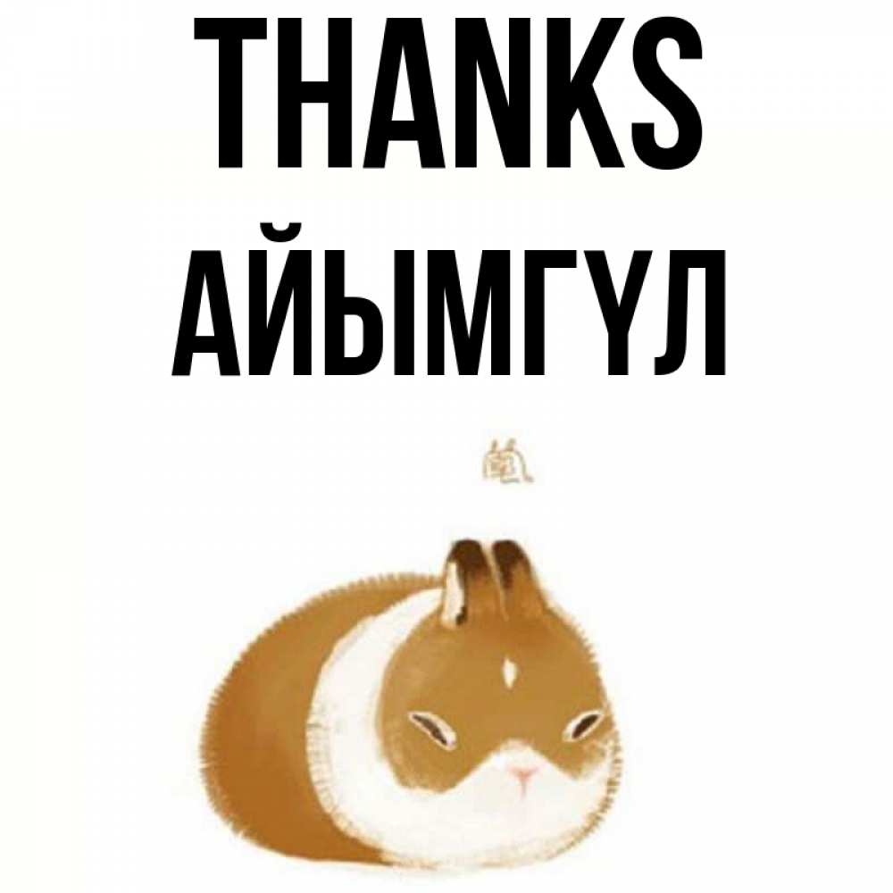 Greetings card с именем, АЙЫМГҮЛ Thanks коричнево белый домашний питомец Greetings with text for free download 