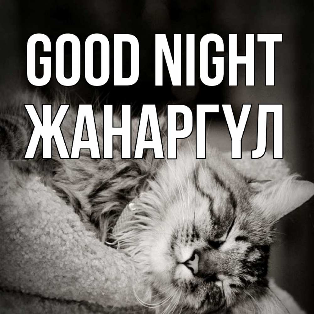 Greetings card с именем, ЖАНАРГҮЛ Good night котярик пушистый Greetings with text for free download 