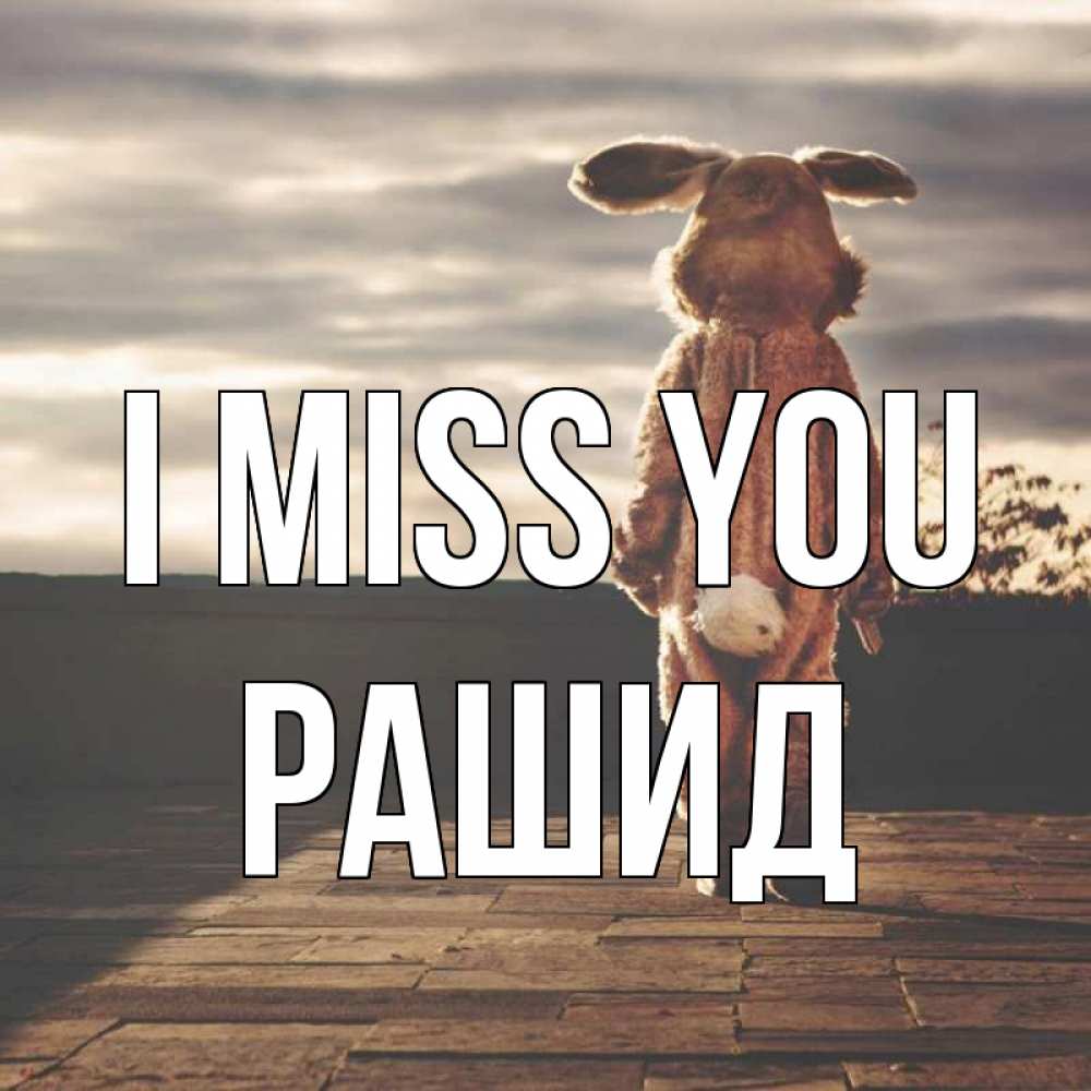 Greetings card с именем, Рашид I miss you даже в костюме зайца Greetings with text for free download 