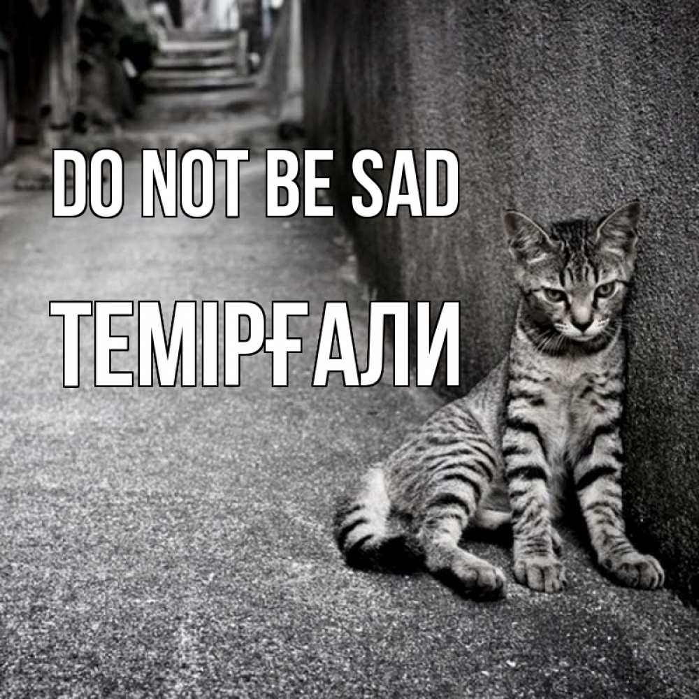 Greetings card с именем, ТЕМІРҒАЛИ Do not be sad скучающий котик Greetings with text for free download 
