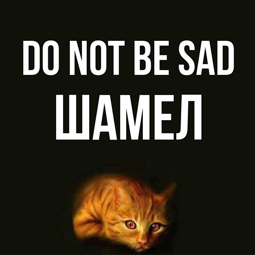 Greetings card с именем, ШАМЕЛ Do not be sad лежащий кот в темноте Greetings with text for free download 