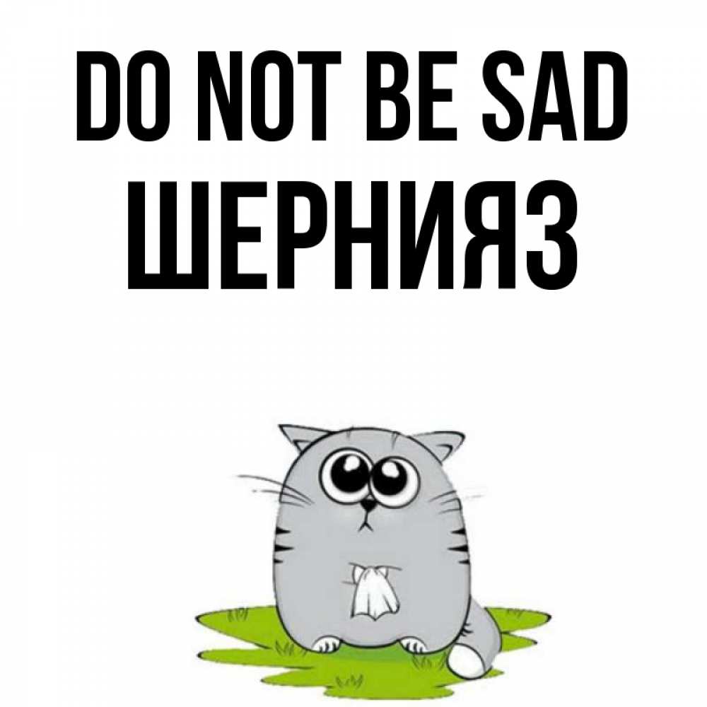 Greetings card с именем, ШЕРНИЯЗ Do not be sad грустный котяра Greetings with text for free download 