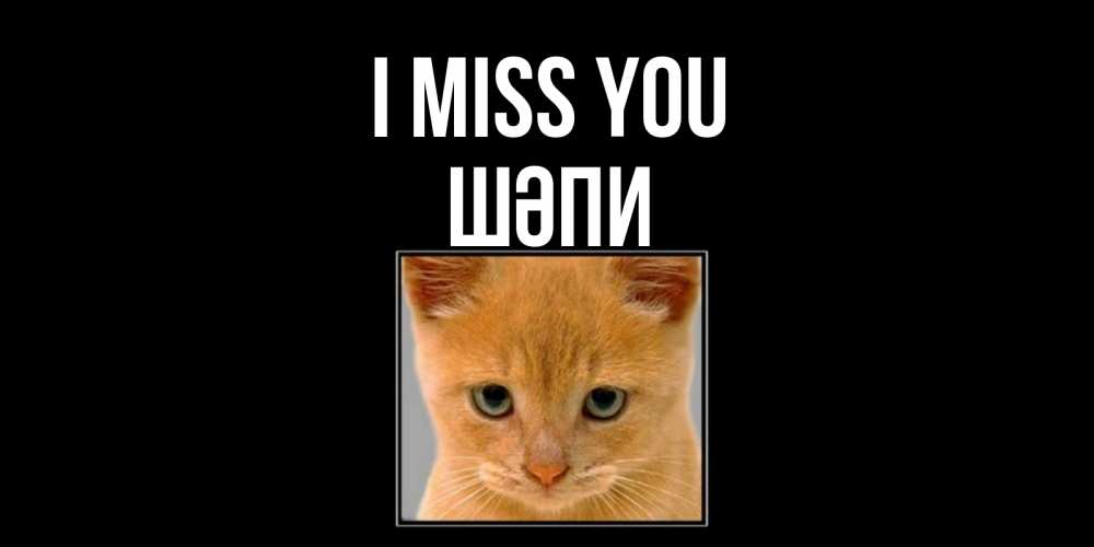 Greetings card с именем, ШӘПИ I miss you открытки рыжий котенок скучает по тебе Greetings with text for free download 