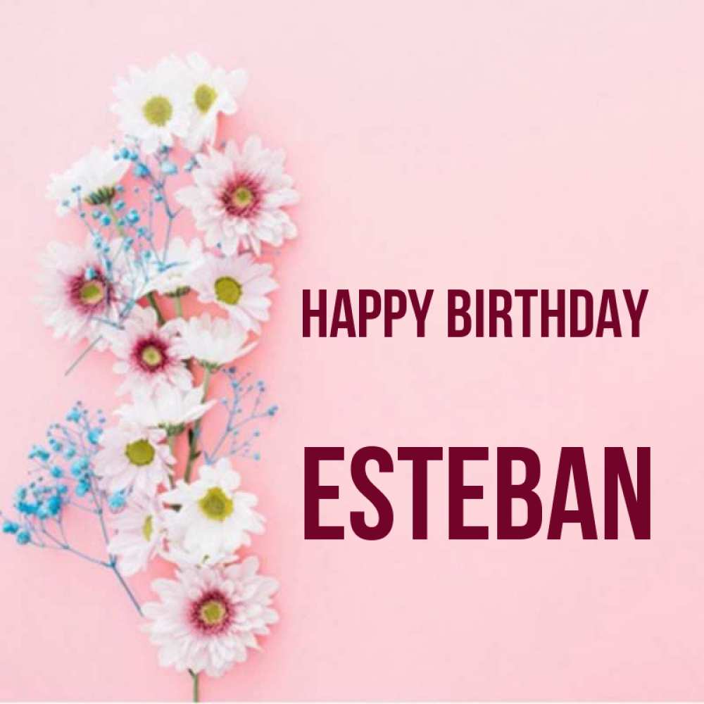 Greetings card с именем, Esteban Happy Birthday Родная моя с днем рождения тебя картинка с цветами белыми и голубыми Greetings with text for free download 