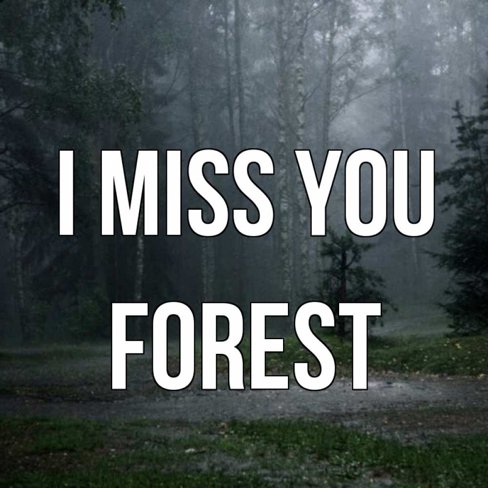 Greetings card с именем, Forest I miss you одна и плохо мне Greetings with text for free download 