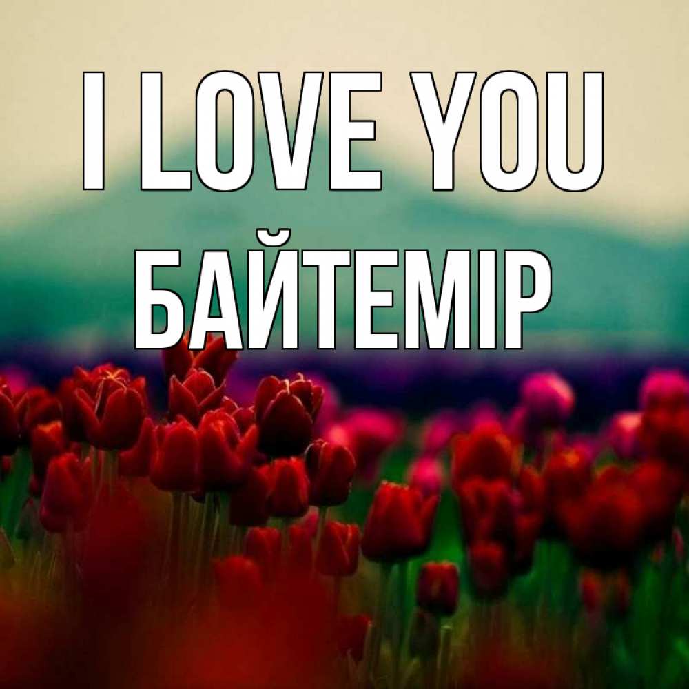 Greetings card с именем, Байтемір I love you тюльпаны 4 Greetings with text for free download 