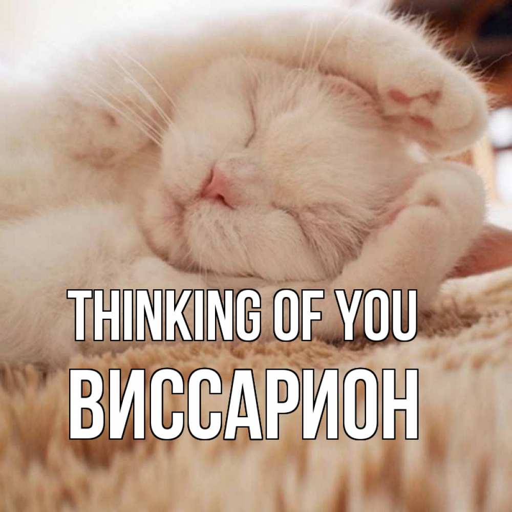 Greetings card с именем, Виссарион Thinking of you для любимой девушки милота Greetings with text for free download 